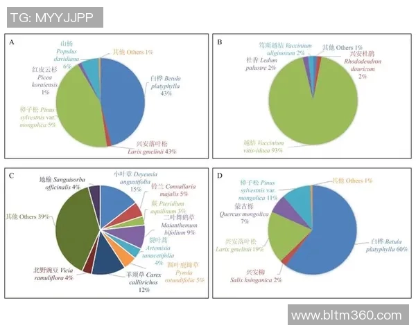 CBA赛季球队进攻端战术多样性分析与发展趋势探讨