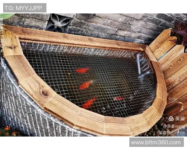 奥运火炬传递背后的那些鲜为人知的趣闻与传奇故事